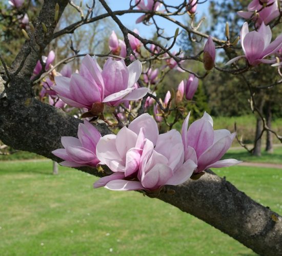 Dormire Parco Uccellina Alberese Agriturismo Magnaboschi